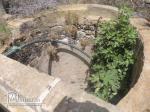 1 hectar 3000 peache 10 arbres olives maison goutte a goutte