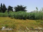 A vendre un magnifique terrain