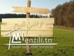 terrain a vendre bon emplacement
