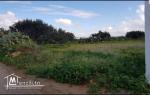 Terrain hammamet nord 500 m2 bien située