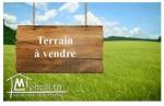 terrain de 1300 m² a hajeb ksour essaf