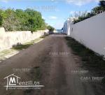 Terrain à kerkouene plage (Kélibia) ☎ 29.232.582