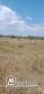 terrain agricole d'un hec et 8000m