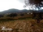 un hectare agricole