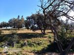 un lot de terrain de 4500m²  a vendre
