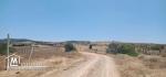 Terrain de 200m a hammamet nord entre mrézga et hammamet