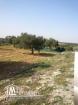 terrain 3.74 hectare au banlieue de monastir