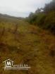 vendre un terrain de 288.5 m2