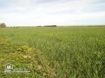 vendre un terrain de 19_hectares