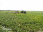vendre un terrain de 19_hectares