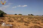 à vendre à El Haouaria 6 hectares