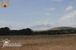 à vendre à El Haouaria 2 hectares
