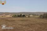 à vendre à El Haouaria 2 hectares
