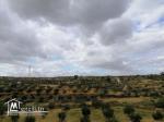 terrain agricole a vendre sousse avec maison .....
