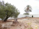 Villa à vendre titre bleu à Chebabia Djerba