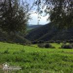 A vendre terrain agricole Bizerte Mateur