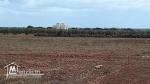 un  beau terrain  à hammamet sud
