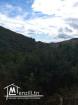 A vendre terrain agricole Bizerte Mateur Superficie: 44hectares