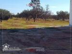 Terrain a YASMINE HAMMAMET 27 485 320
