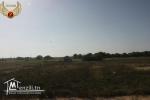 vendre un terrain sidi mansour kélibia vue sur la mer