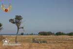 vendre un terrain sidi mansour kélibia vue sur la mer