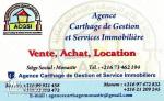 Agent Immobilier Professionnel