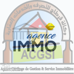 Agent Immobilier Professionnel