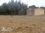 3HECTARS a vendre seulement a 150 000 dt