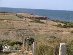 6000m² situé a el hawaria 1 ere position a la plage el hawaria