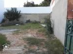 Lot 300m Hammamet Nord Carrefour