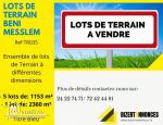A Vendre des lots de terrain à BENI MESSLEM