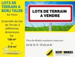 A Vendre des lots de terrain à BORJ TALEB
