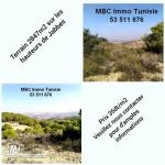 terrain 2847m2 sur jebel ammar à Jabbess