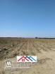 Terrain agricole de 4 hectares a el haouaria cap bon