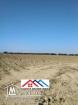 Terrain agricole de 4 hectares a el haouaria cap bon