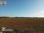 A vendre des terrains à sidi mansour kelibia