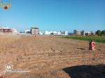 à vendre des terrains à la plage  Ezahra Kelibia