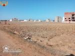 à vendre des terrains à la plage  Ezahra Kelibia