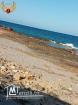 A vendre des terrains à dar allouch kelibia# 54810204