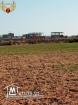 A vendre des terrains à dar allouch kelibia# 54810204