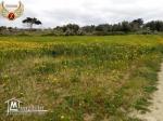 A vendre terrain à la plage Aiin Grinz kelibia# 54810204