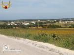 terrain 9000m² à vendre à tamozrat- kelibia# 54810204