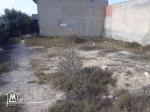 Terrain 300 m proche Hammamet prix abordable