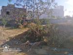 Terrain  de 416 m²  à vendre à hammamet nord