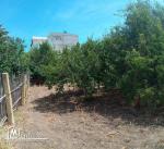 Terrain 500 M² à Raf raf Plage coté D'har Ayed