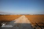 lots terrains hammamet a 25000dt