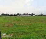 Terrain nu de 1000m2 à vendre à Hmaiem Manouba 