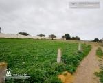 Réf T91: ارض للبيع فى طريق بنى مسلم