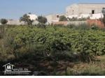 Terrain a vendre a boumhel el bassatine a coté de azur city