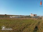 terrain à vendre de 6000 m2 à Tamozrat Kélibia